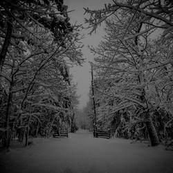 Yfel : A Winter Night's Journey